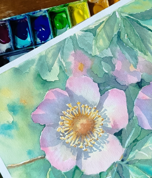 Experimenting with Watercolour